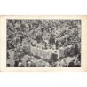 Rare collectable postcards of MOROCCO. Vintage Postcards of MOROCCO
