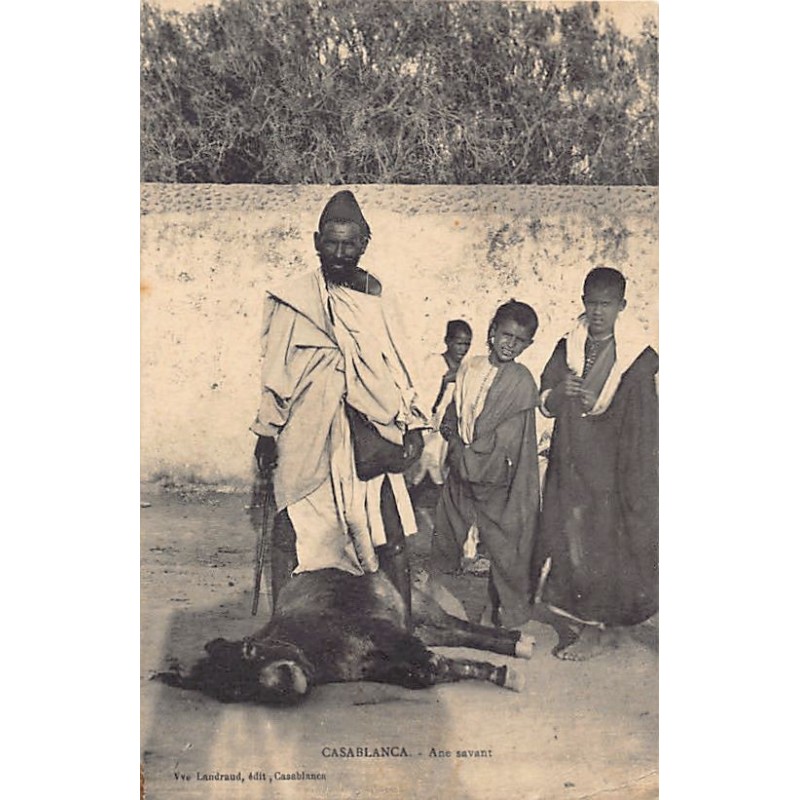 Rare collectable postcards of MOROCCO. Vintage Postcards of MOROCCO