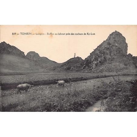 Rare collectable postcards of VIETNAM. Vintage Postcards of VIETNAM