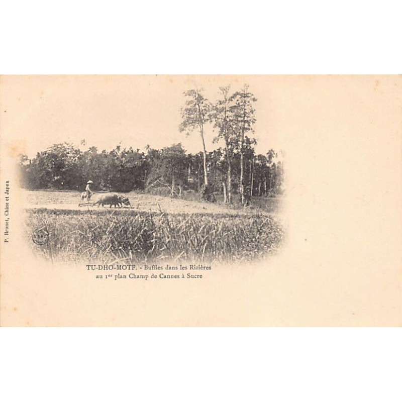 Rare collectable postcards of VIETNAM. Vintage Postcards of VIETNAM