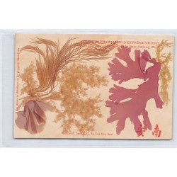 Rare collectable postcards of VIETNAM. Vintage Postcards of VIETNAM