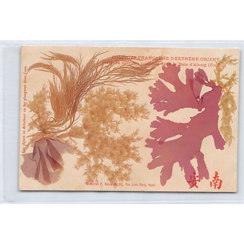 Rare collectable postcards of VIETNAM. Vintage Postcards of VIETNAM