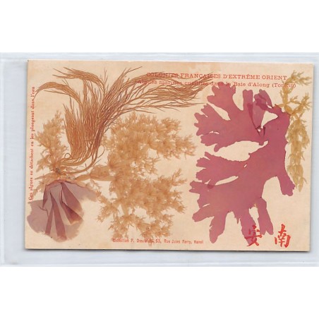 Rare collectable postcards of VIETNAM. Vintage Postcards of VIETNAM