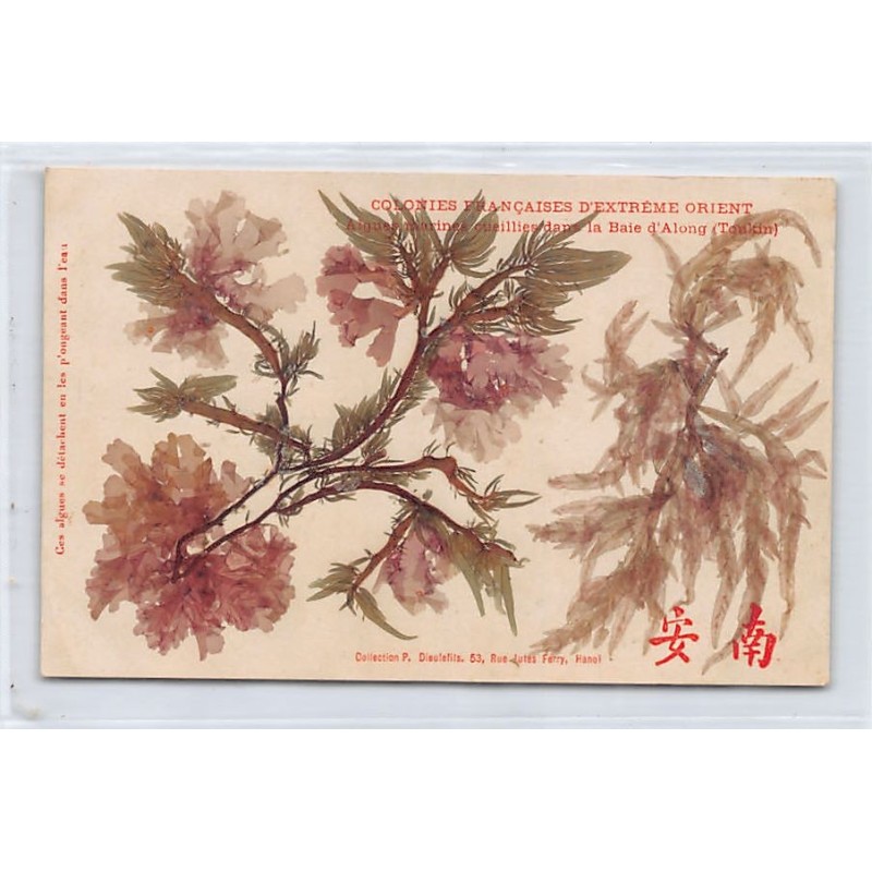 Rare collectable postcards of VIETNAM. Vintage Postcards of VIETNAM