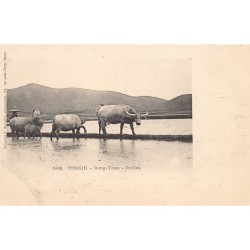 Rare collectable postcards of VIETNAM. Vintage Postcards of VIETNAM