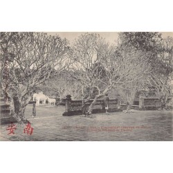 Rare collectable postcards of VIETNAM. Vintage Postcards of VIETNAM