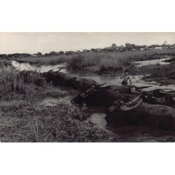 Rare collectable postcards of VIETNAM. Vintage Postcards of VIETNAM