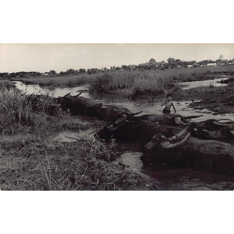 Rare collectable postcards of VIETNAM. Vintage Postcards of VIETNAM