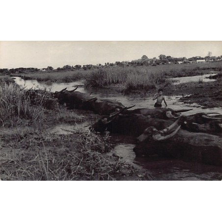 Rare collectable postcards of VIETNAM. Vintage Postcards of VIETNAM