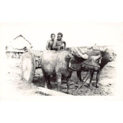 Rare collectable postcards of VIETNAM. Vintage Postcards of VIETNAM