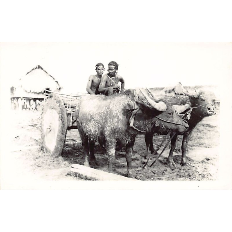 Rare collectable postcards of VIETNAM. Vintage Postcards of VIETNAM