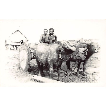 Rare collectable postcards of VIETNAM. Vintage Postcards of VIETNAM