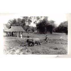 Rare collectable postcards of VIETNAM. Vintage Postcards of VIETNAM