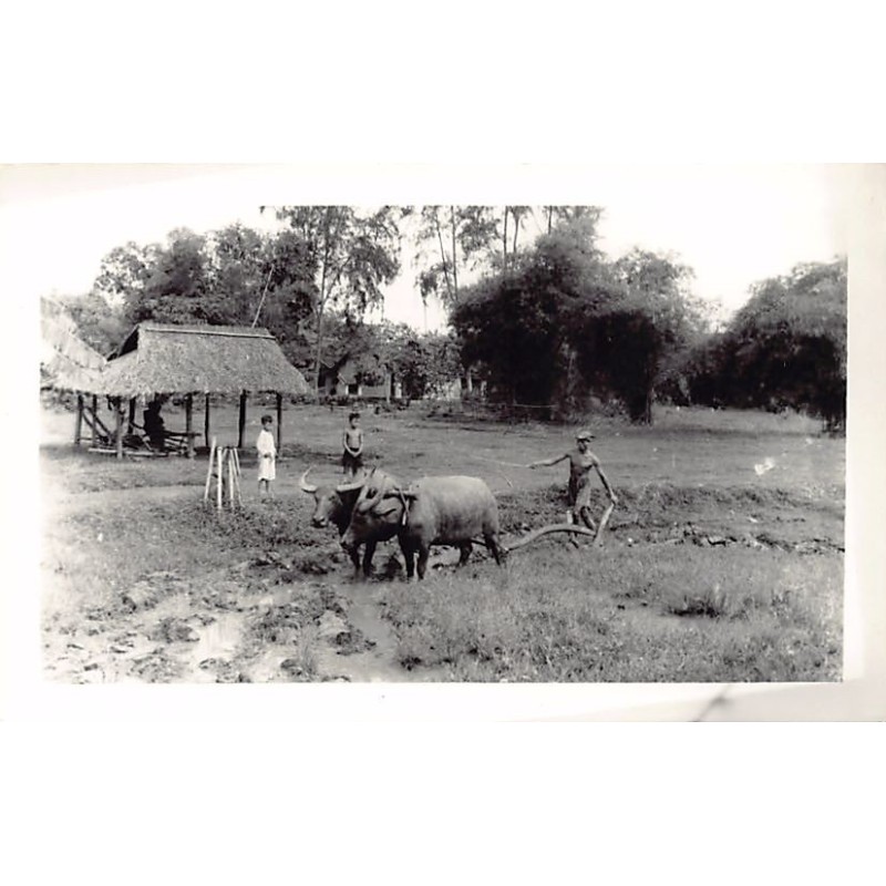 Rare collectable postcards of VIETNAM. Vintage Postcards of VIETNAM