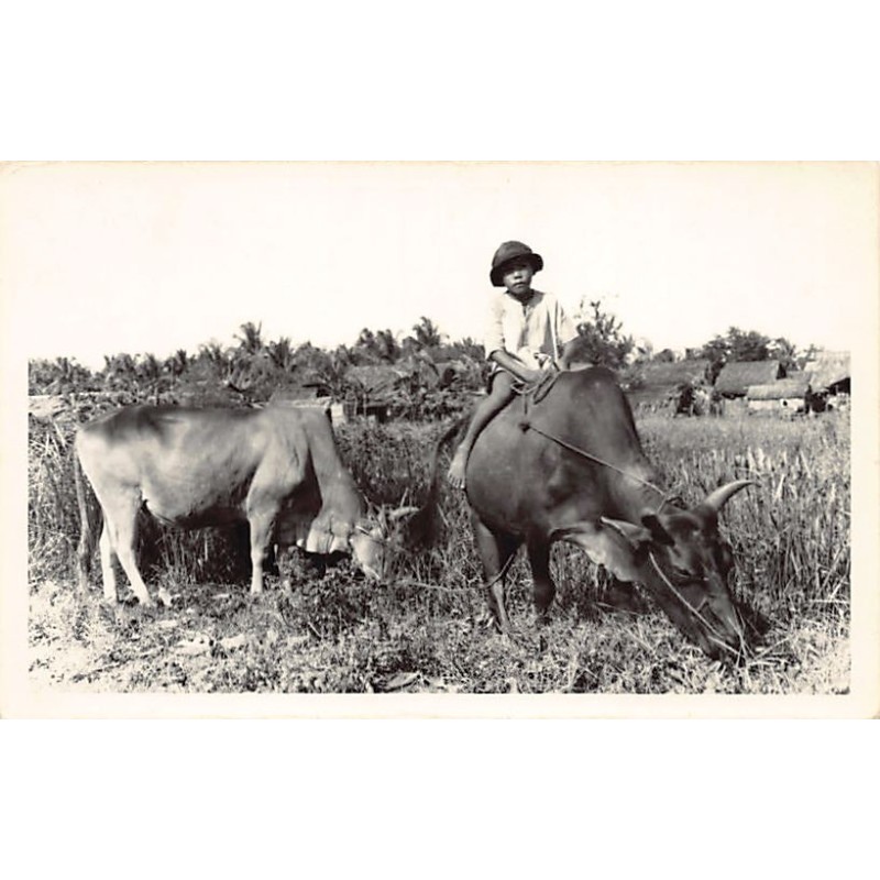 Rare collectable postcards of VIETNAM. Vintage Postcards of VIETNAM