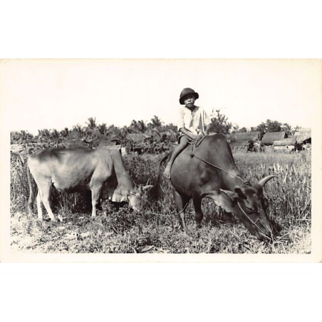 Rare collectable postcards of VIETNAM. Vintage Postcards of VIETNAM