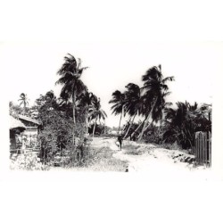 Rare collectable postcards of VIETNAM. Vintage Postcards of VIETNAM