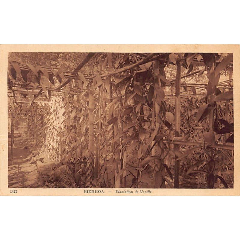 Rare collectable postcards of VIETNAM. Vintage Postcards of VIETNAM