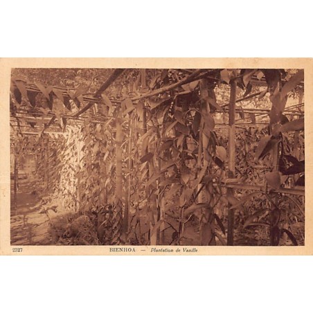 Rare collectable postcards of VIETNAM. Vintage Postcards of VIETNAM