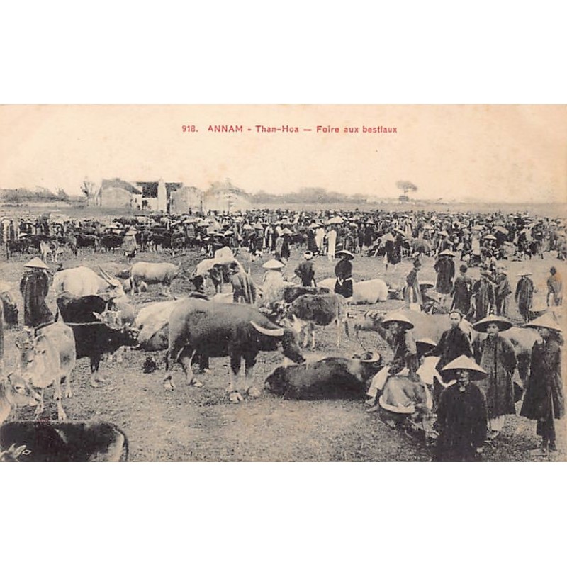 Rare collectable postcards of VIETNAM. Vintage Postcards of VIETNAM