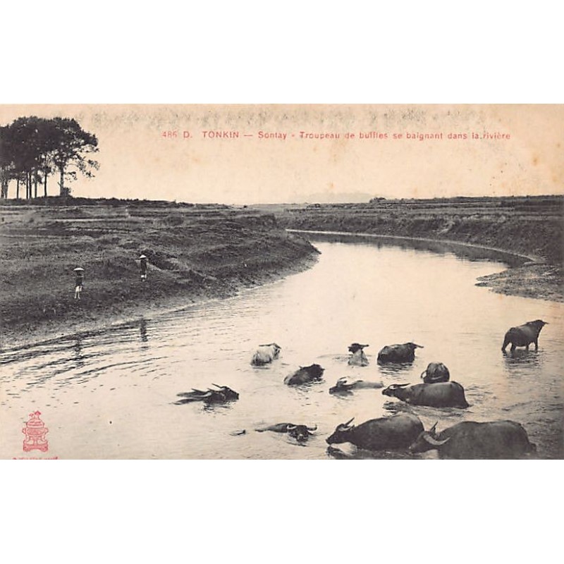 Rare collectable postcards of VIETNAM. Vintage Postcards of VIETNAM