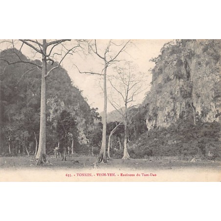 Rare collectable postcards of VIETNAM. Vintage Postcards of VIETNAM