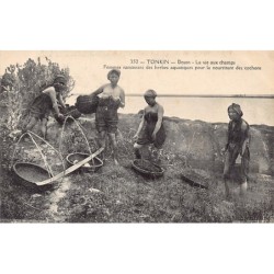 Rare collectable postcards of VIETNAM. Vintage Postcards of VIETNAM