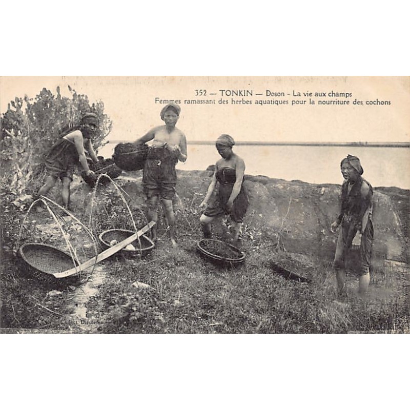 Rare collectable postcards of VIETNAM. Vintage Postcards of VIETNAM