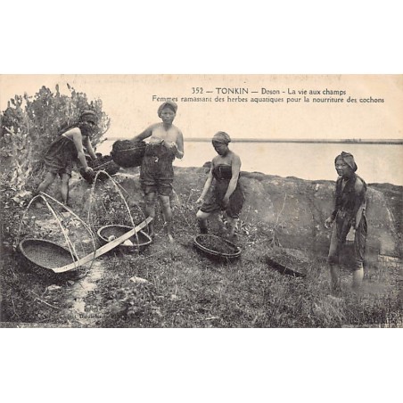 Rare collectable postcards of VIETNAM. Vintage Postcards of VIETNAM