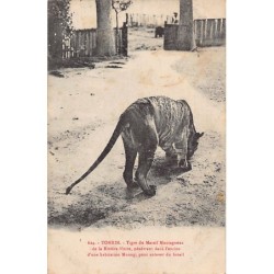 Rare collectable postcards of VIETNAM. Vintage Postcards of VIETNAM