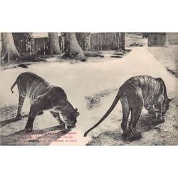 Rare collectable postcards of VIETNAM. Vintage Postcards of VIETNAM