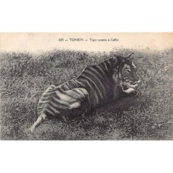 Rare collectable postcards of VIETNAM. Vintage Postcards of VIETNAM