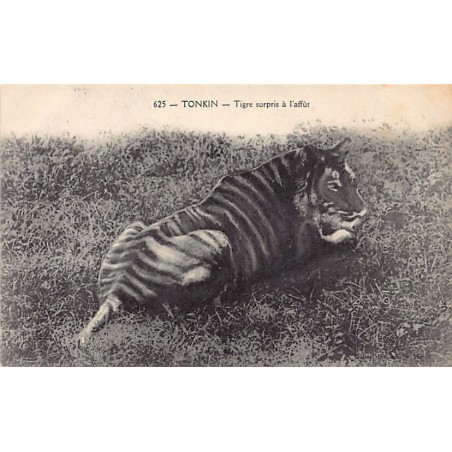 Rare collectable postcards of VIETNAM. Vintage Postcards of VIETNAM