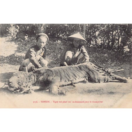 Rare collectable postcards of VIETNAM. Vintage Postcards of VIETNAM