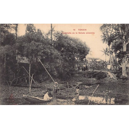 Rare collectable postcards of VIETNAM. Vintage Postcards of VIETNAM