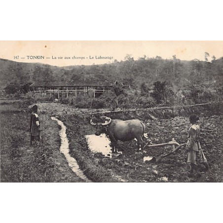 Rare collectable postcards of VIETNAM. Vintage Postcards of VIETNAM