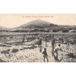 Rare collectable postcards of VIETNAM. Vintage Postcards of VIETNAM