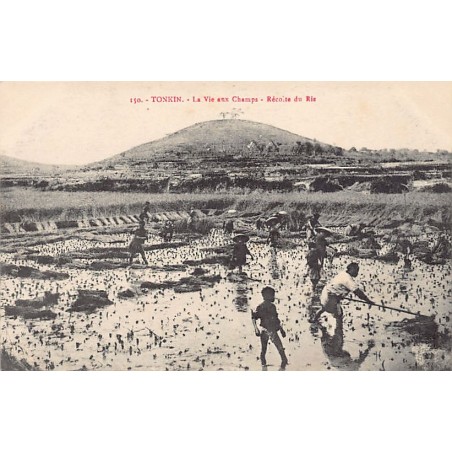 Rare collectable postcards of VIETNAM. Vintage Postcards of VIETNAM