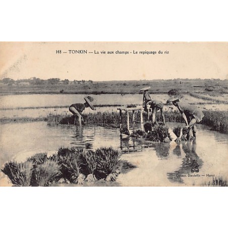 Rare collectable postcards of VIETNAM. Vintage Postcards of VIETNAM