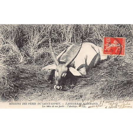 Rare collectable postcards of TANZANIA. Vintage Postcards of TANZANIA