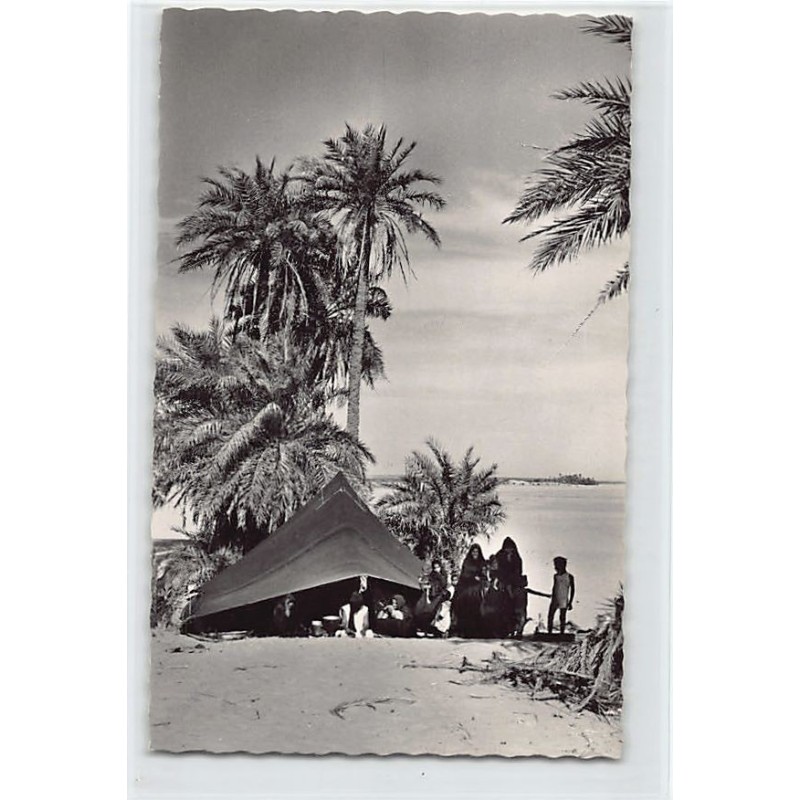 Rare collectable postcards of MAURITANIA. Vintage Postcards of MAURITANIA