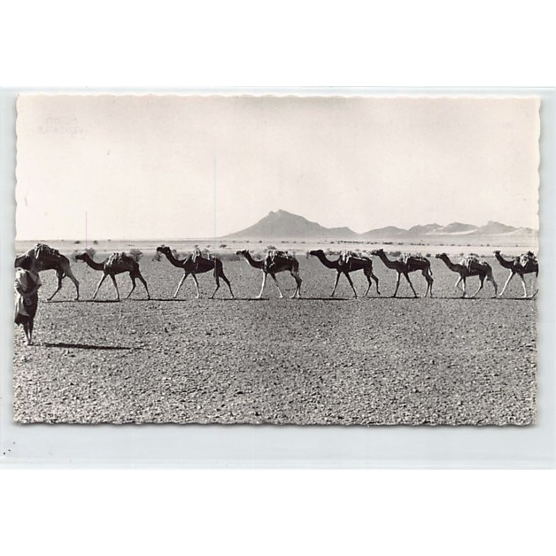 Rare collectable postcards of MAURITANIA. Vintage Postcards of MAURITANIA