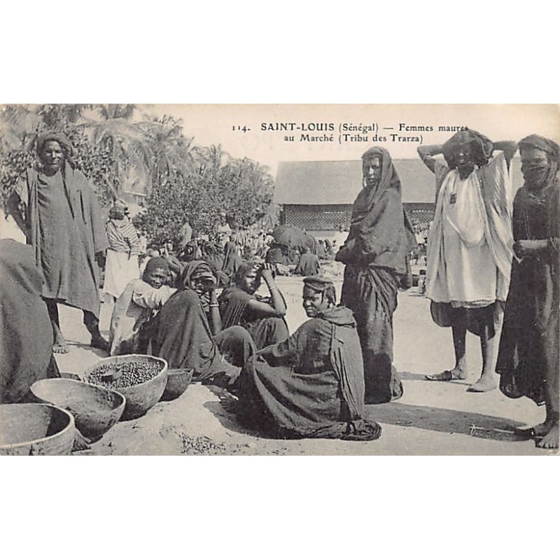 Rare collectable postcards of MAURITANIA. Vintage Postcards of MAURITANIA