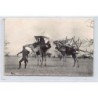 Rare collectable postcards of MAURITANIA. Vintage Postcards of MAURITANIA