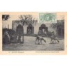 Rare collectable postcards of MAURITANIA. Vintage Postcards of MAURITANIA