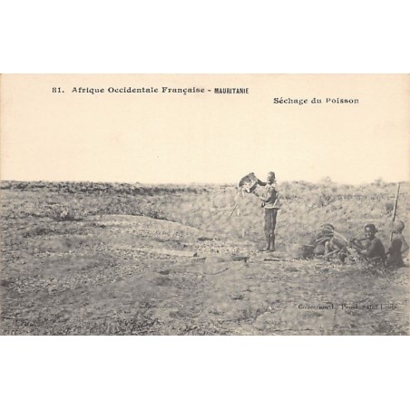 Rare collectable postcards of MAURITANIA. Vintage Postcards of MAURITANIA