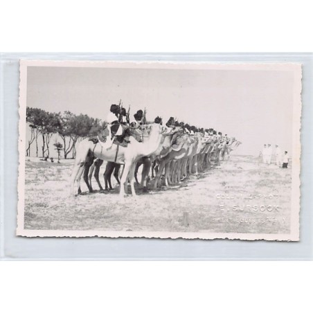 Rare collectable postcards of MAURITANIA. Vintage Postcards of MAURITANIA