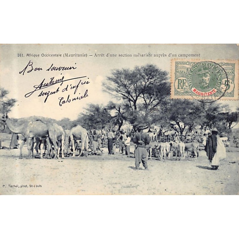 Rare collectable postcards of MAURITANIA. Vintage Postcards of MAURITANIA