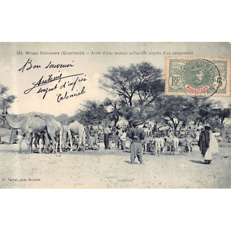 Rare collectable postcards of MAURITANIA. Vintage Postcards of MAURITANIA