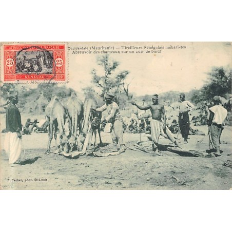 Rare collectable postcards of MAURITANIA. Vintage Postcards of MAURITANIA